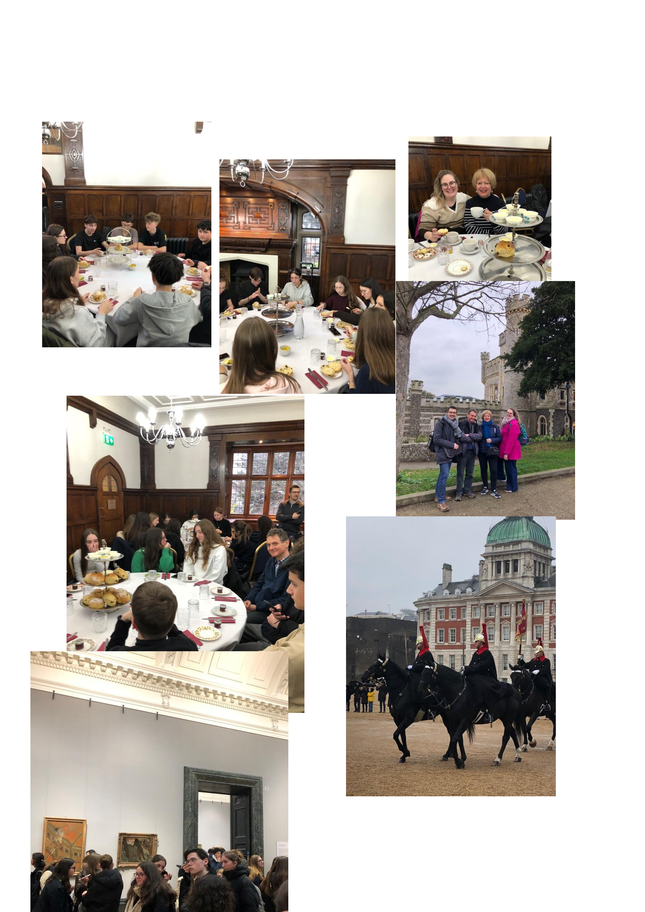 9ef5e055 c8b0 4c82 816e 85fa8770aea8 1