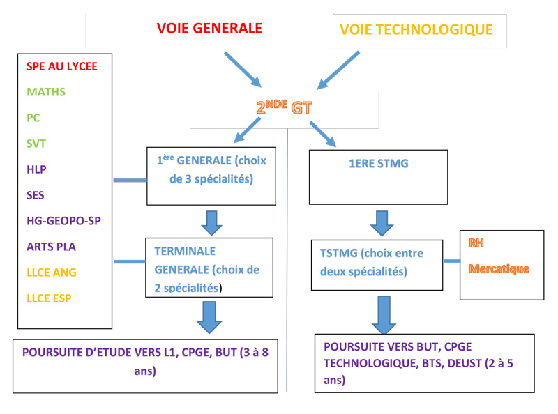 Schema des parcours de formation GT