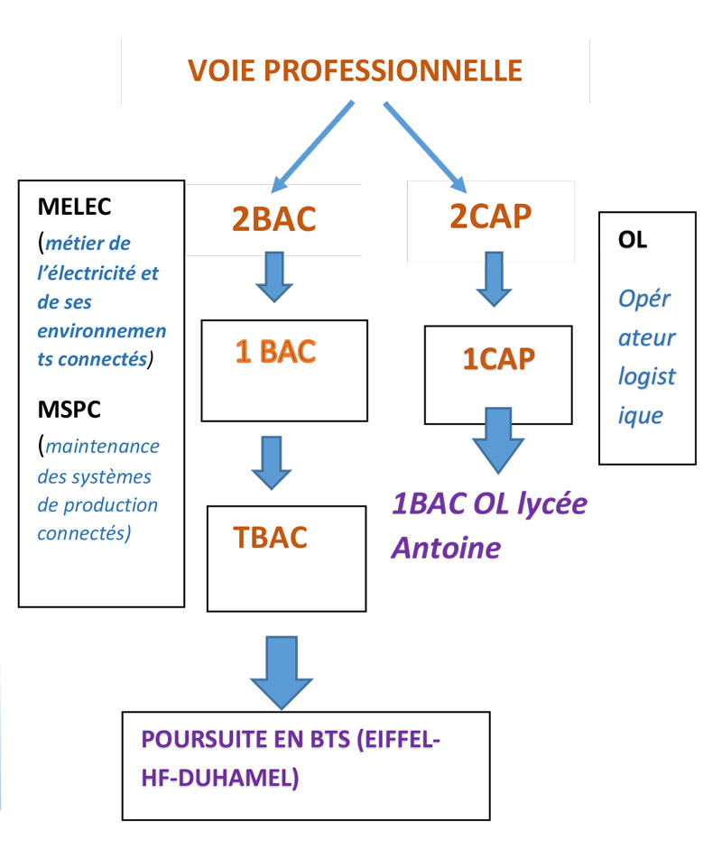 Schema des parcours de formation PRO